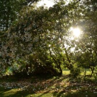 The walk from the 4th green to the 5th tee box